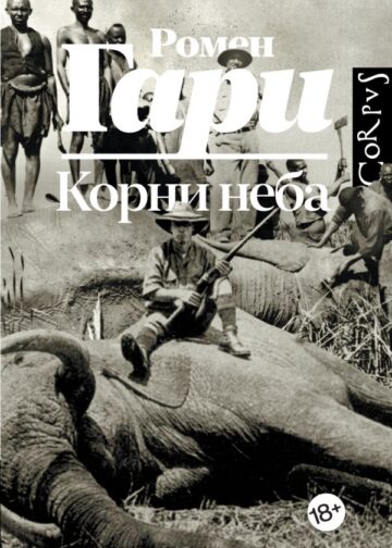 Корни неба