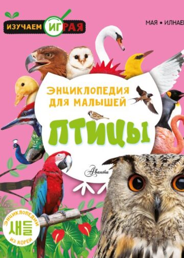 Птицы