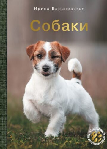 Собаки