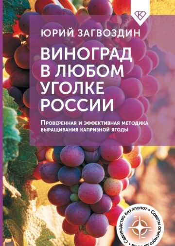 Виноград в любом уголке России. Проверенная и эффективная методика выращивания капризной ягоды