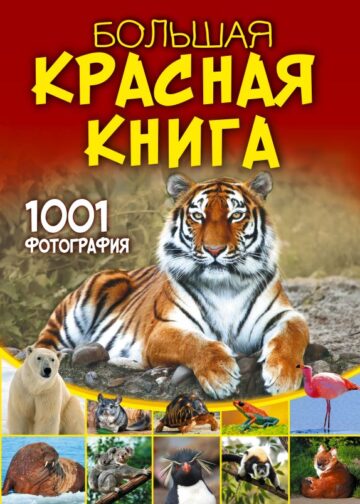 Большая красная книга. 1001 фотография