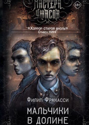 Мальчики в долине