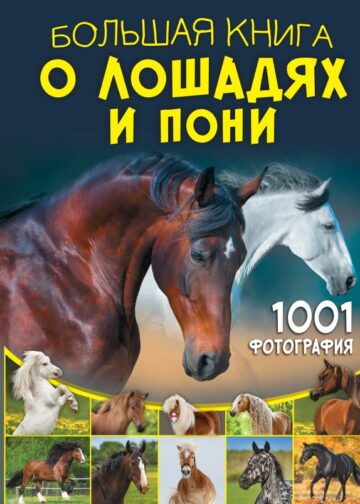 Большая книга о лошадях и пони. 1001 фотография