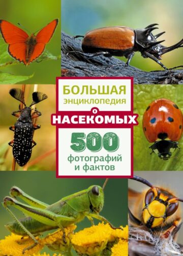 Большая энциклопедия о насекомых. 500 фотографий и фактов