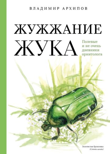 Жужжание жука. Полевые и не очень дневники орнитолога