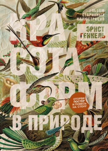 Красота форм в природе. Альбом старинных иллюстраций