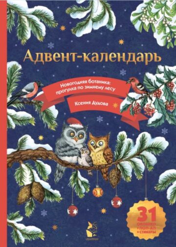 Адвент-календарь. Новогодняя ботаника: прогулка по зимнему лесу