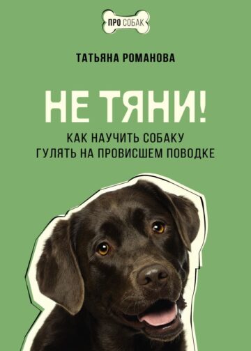 Не тяни! Как научить собаку гулять на провисшем поводке