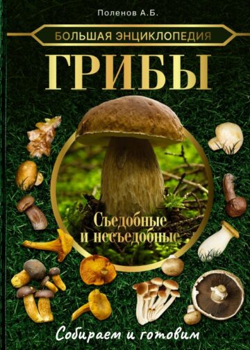 Большая энциклопедия. Грибы. Съедобные и несъедобные. Собираем и готовим.
