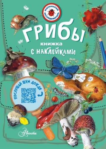 Грибы