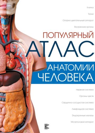 Популярный атлас анатомии человека