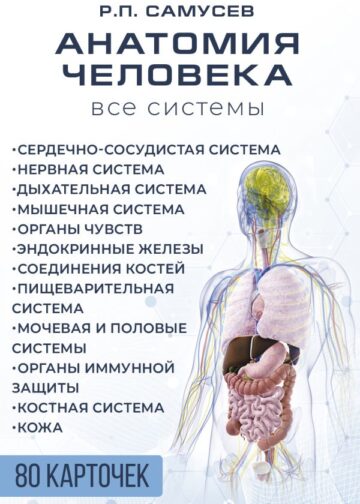 Анатомия человека. 80 карточек. Все системы
