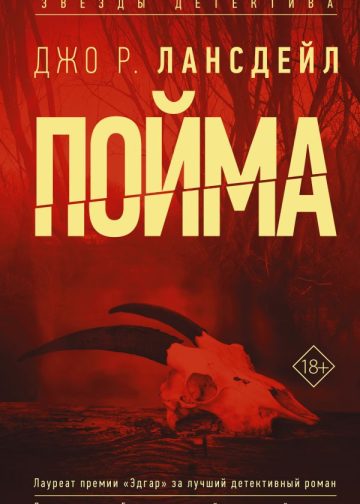 Пойма