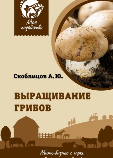 Выращивание грибов. Мини-бизнес с нуля