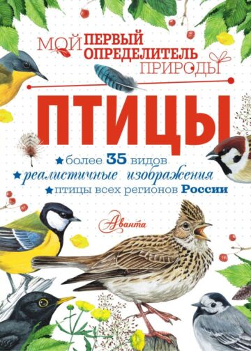 Птицы
