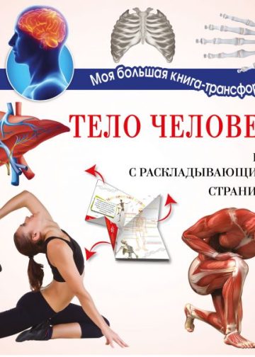 Тело человека