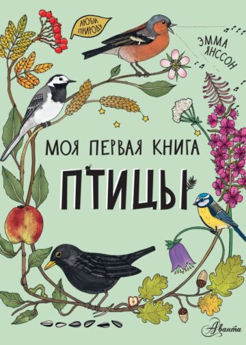 Птицы