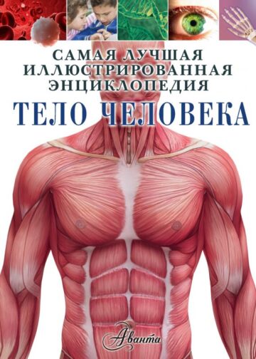 Тело человека