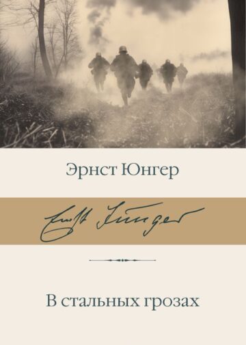 В стальных грозах