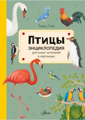 Птицы
