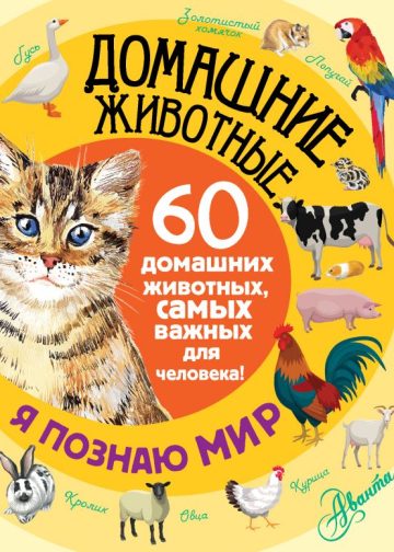 Домашние животные