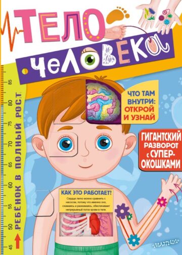 Тело человека
