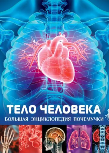 Тело человека