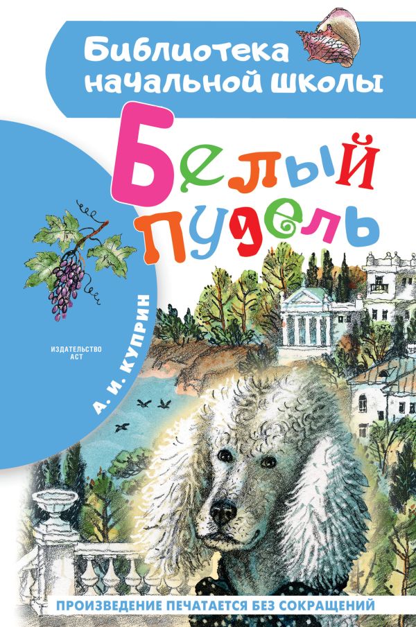 Белый пудель