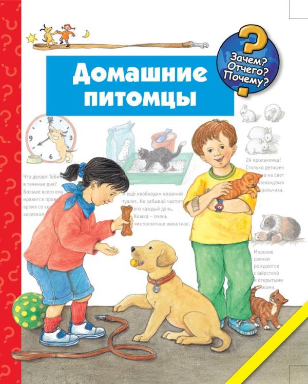 Домашние питомцы