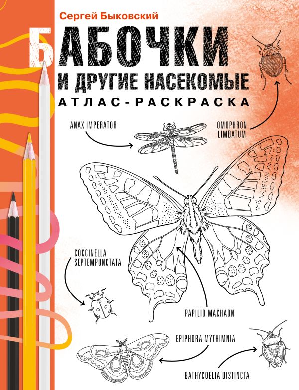 Бабочки и другие насекомые. Атлас-раскраска