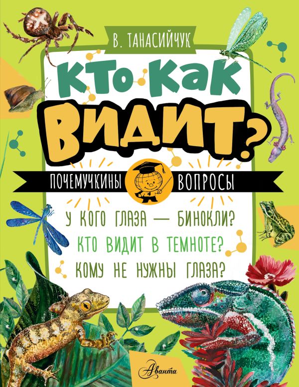 Кто как видит?